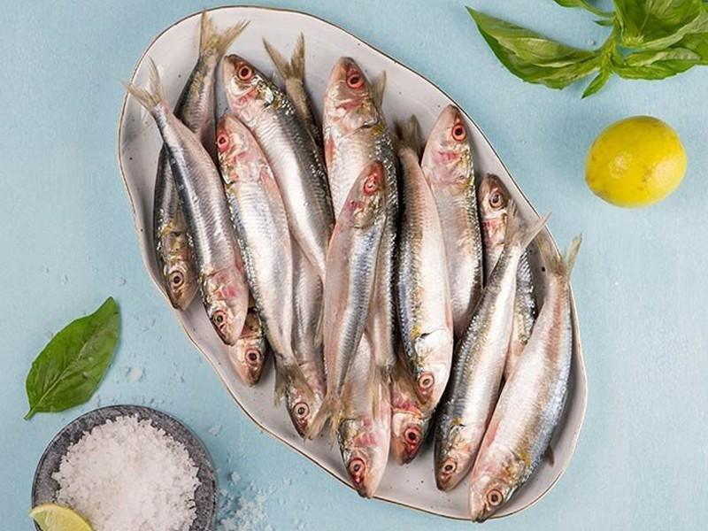 Sardine (সার্ডিন মাছ)