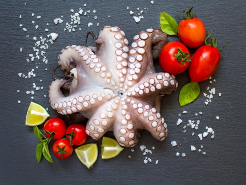 Octopus (অক্টোপাস)