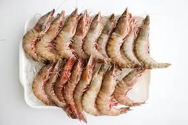 Prawn / Shrimp (চিংড়ি মাছ)