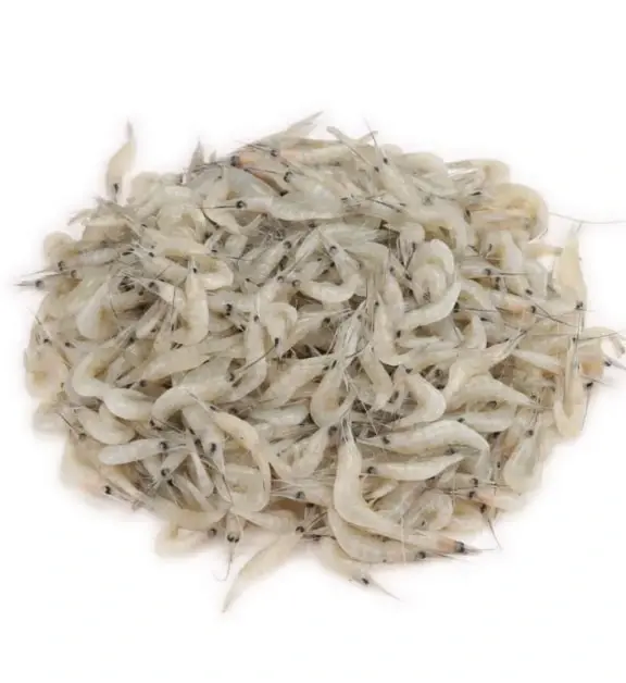 Chingri River White (রিভার হোয়াইট চিংড়ি)