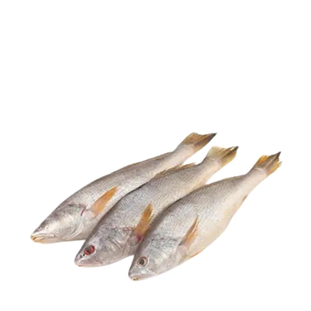 Poa Fish (পোয়া মাছ)
